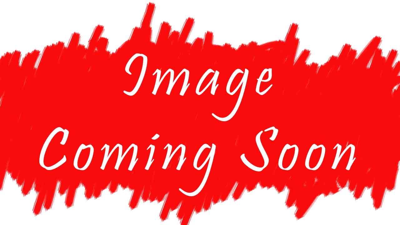 Michael Million in Etege 2 Zemecha Dengel Filega